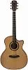 TOM GA-T1ME Электроакустическая гитара.-0