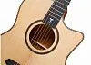 TOM GA-T1ME Электроакустическая гитара.-5