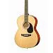 Homage LF-3900-N Гитара акустическая. -1