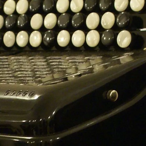 Юпитер-2Д Баян двухголосный.