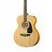 Homage LF-4000-N Гитара акустическая.-1
