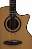 TOM GA-T1ME Электроакустическая гитара.-12